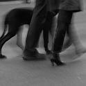 Paar mit Dogge