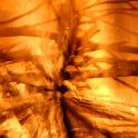Feuer